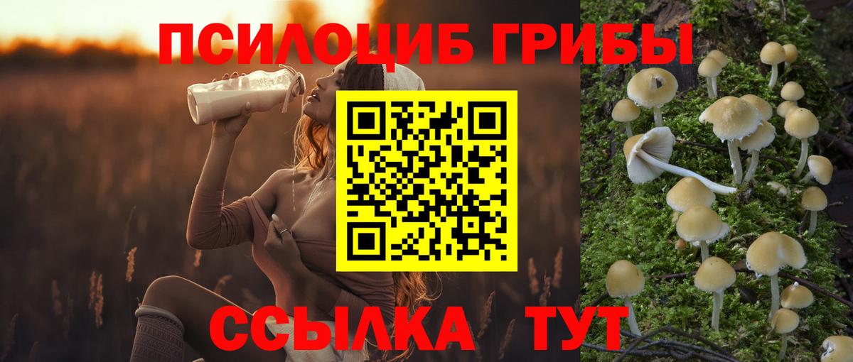 Гусиноозёрск  Галлюциногенные грибы мухоморы  Галлюциногенные грибы мухоморы  Вход с VPN 